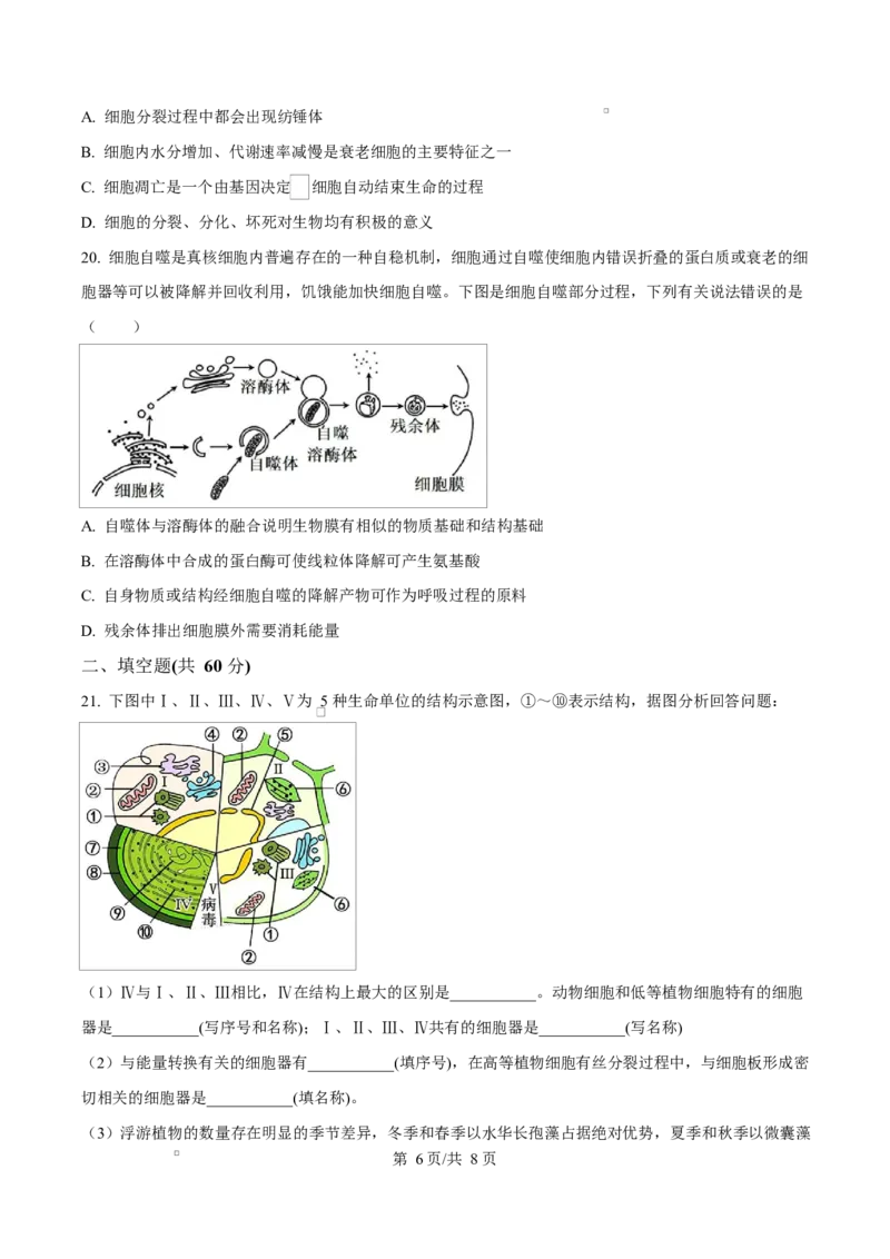 湖北省荆州中学2024-2025学年高一下学期2月月考生物试卷（原卷版）_2025年03月试卷_0313湖北省荆州中学2024-2025学年高一下学期2月月考