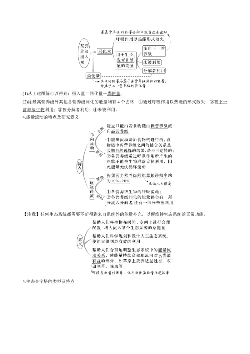 考向23生态系统的结构与能量流动-备战2023年高考生物一轮复习考点微专题（全国通用）（解析版）(1)_通用版（老高考）复习资料_2023年复习资料_一轮复习