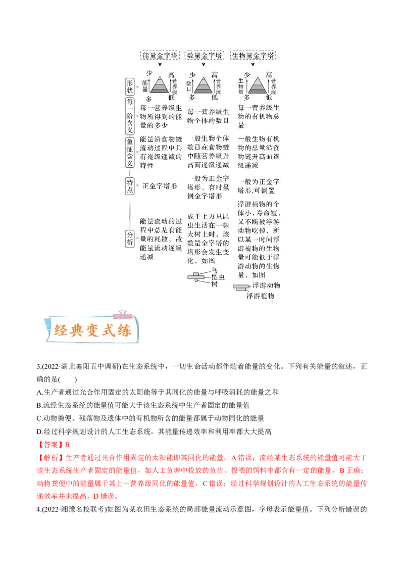 考向23生态系统的结构与能量流动-备战2023年高考生物一轮复习考点微专题（全国通用）（解析版）(1)_通用版（老高考）复习资料_2023年复习资料_一轮复习