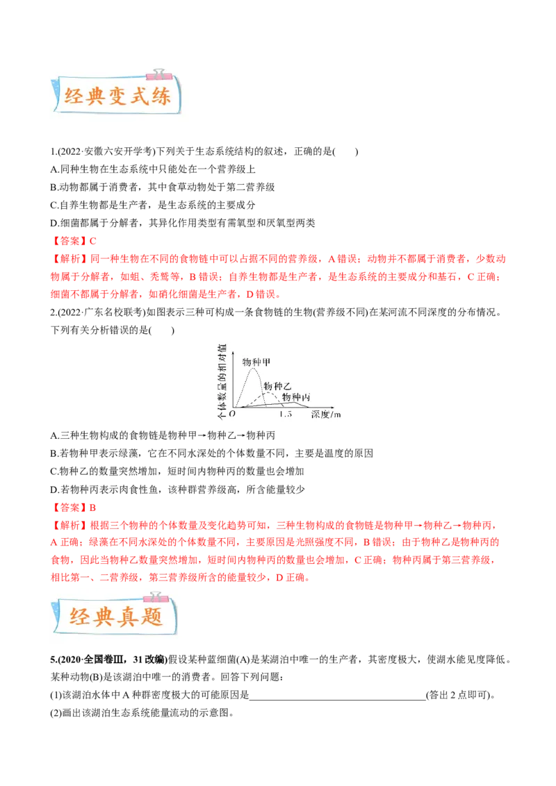 考向23生态系统的结构与能量流动-备战2023年高考生物一轮复习考点微专题（全国通用）（解析版）(1)_通用版（老高考）复习资料_2023年复习资料_一轮复习