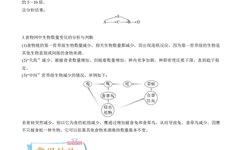 考向23生态系统的结构与能量流动-备战2023年高考生物一轮复习考点微专题（全国通用）（解析版）(1)_通用版（老高考）复习资料_2023年复习资料_一轮复习