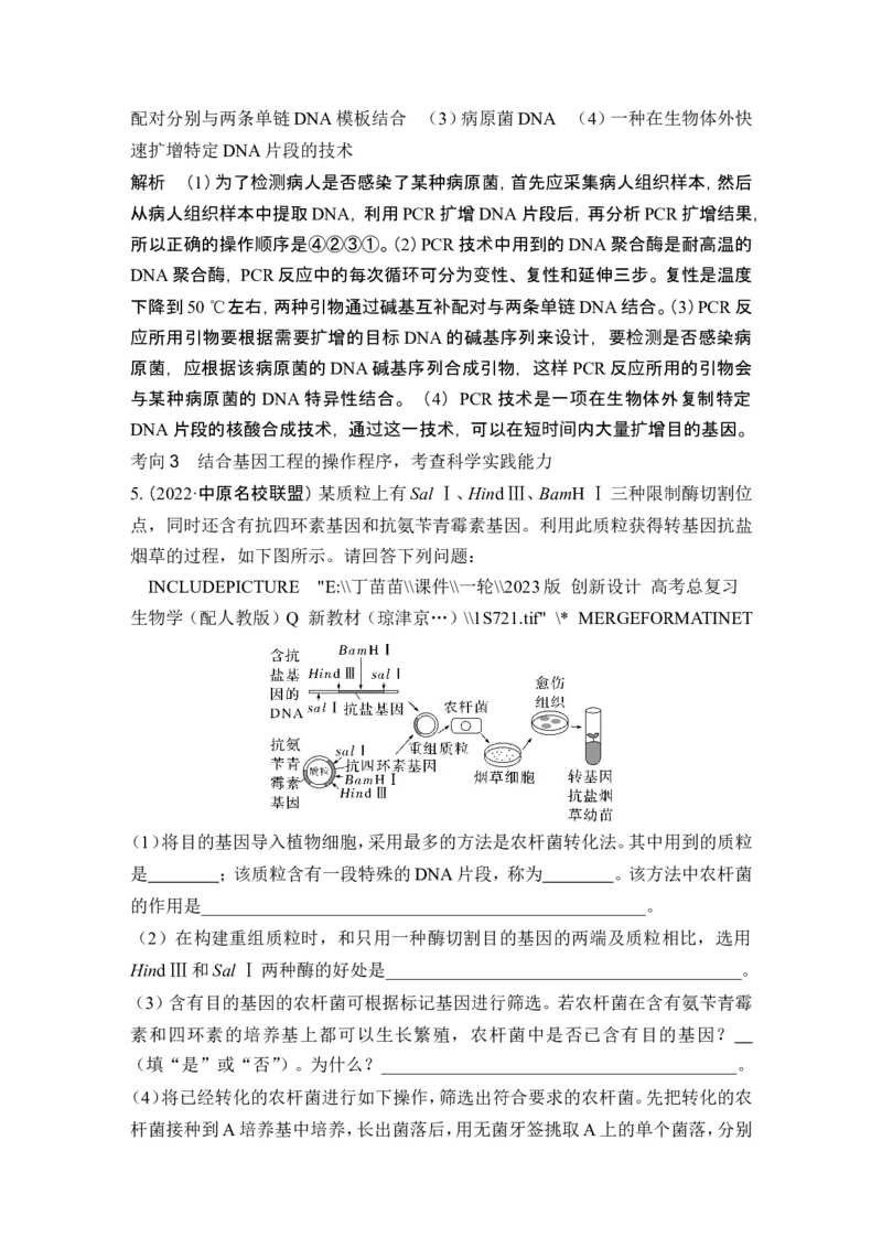 第35讲基因工程及生物技术的安全性与伦理问题_新高考复习资料_2024年新高考复习资料_一轮复习资料_完2024生物步步高大一轮复习（课件+讲义）_另附1套Word版题库_选择性必修3