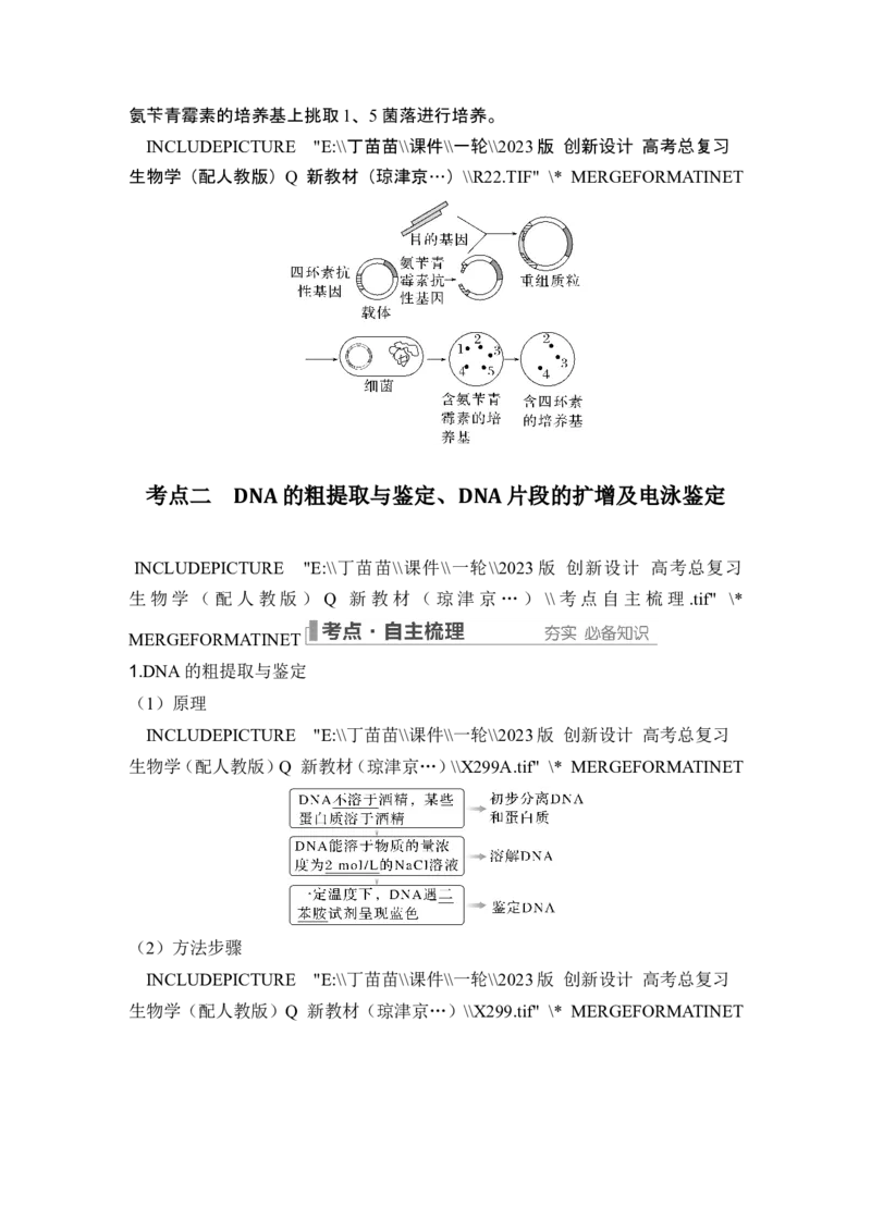 第35讲基因工程及生物技术的安全性与伦理问题_新高考复习资料_2024年新高考复习资料_一轮复习资料_完2024生物步步高大一轮复习（课件+讲义）_另附1套Word版题库_选择性必修3