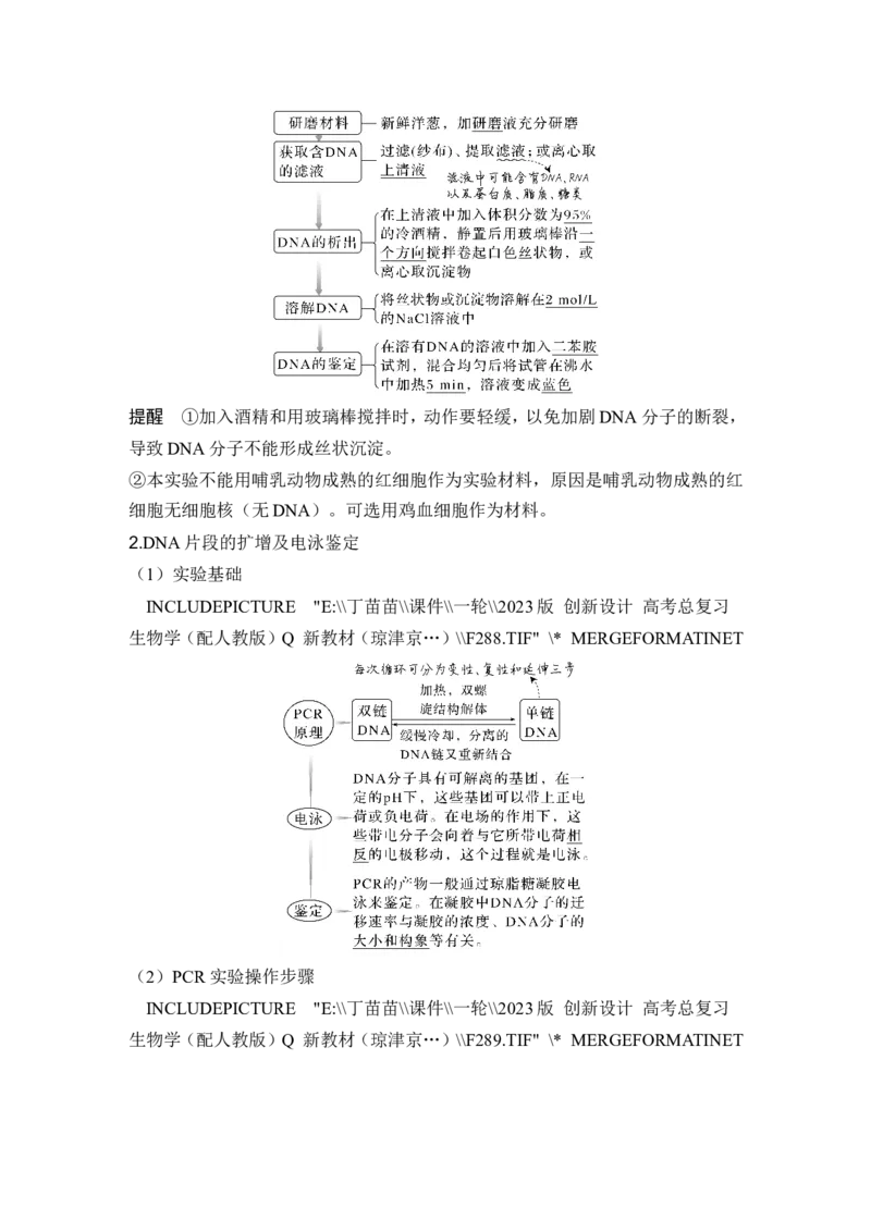 第35讲基因工程及生物技术的安全性与伦理问题_新高考复习资料_2024年新高考复习资料_一轮复习资料_完2024生物步步高大一轮复习（课件+讲义）_另附1套Word版题库_选择性必修3