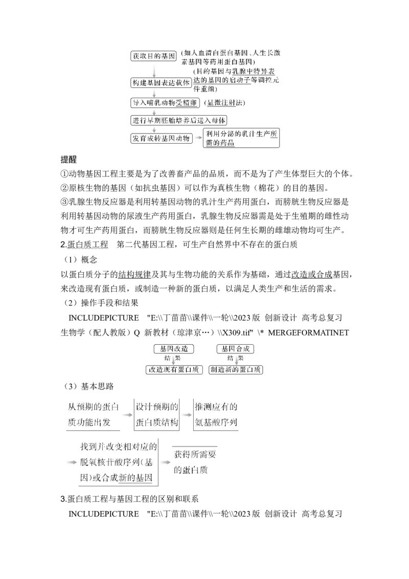 第35讲基因工程及生物技术的安全性与伦理问题_新高考复习资料_2024年新高考复习资料_一轮复习资料_完2024生物步步高大一轮复习（课件+讲义）_另附1套Word版题库_选择性必修3