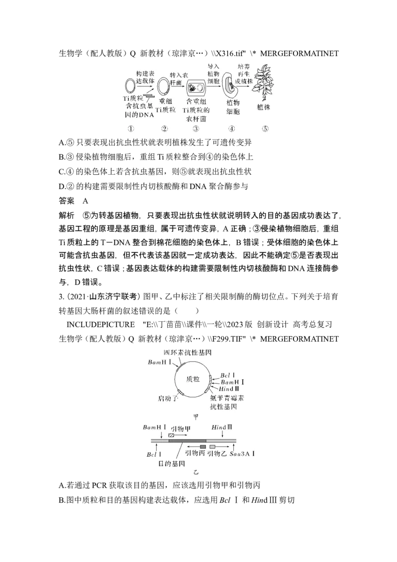 第35讲基因工程及生物技术的安全性与伦理问题_新高考复习资料_2024年新高考复习资料_一轮复习资料_完2024生物步步高大一轮复习（课件+讲义）_另附1套Word版题库_选择性必修3
