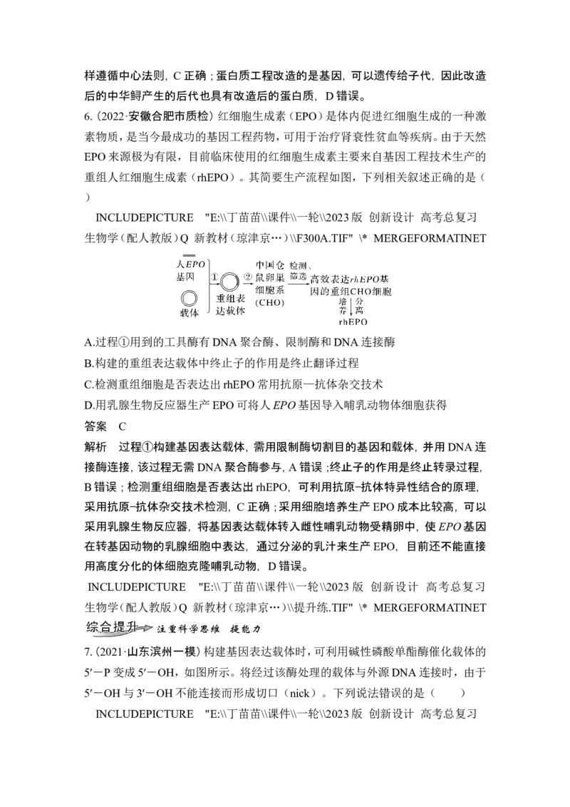 第35讲基因工程及生物技术的安全性与伦理问题_新高考复习资料_2024年新高考复习资料_一轮复习资料_完2024生物步步高大一轮复习（课件+讲义）_另附1套Word版题库_选择性必修3