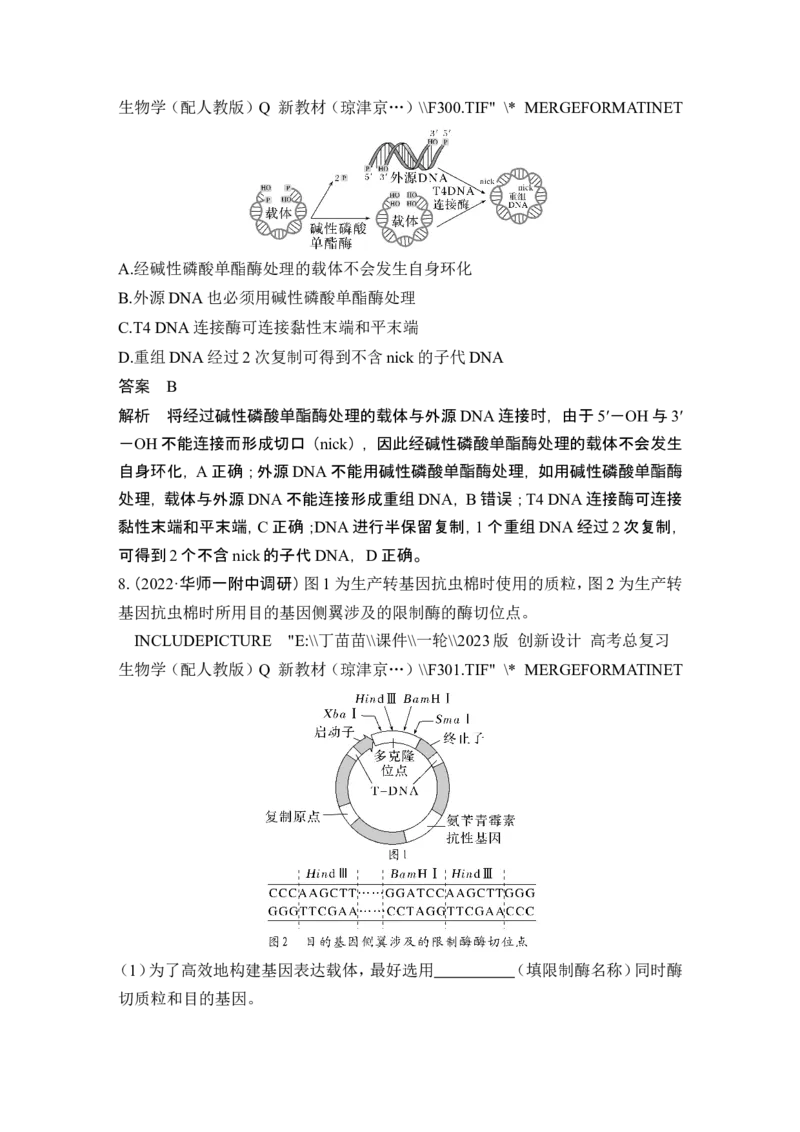 第35讲基因工程及生物技术的安全性与伦理问题_新高考复习资料_2024年新高考复习资料_一轮复习资料_完2024生物步步高大一轮复习（课件+讲义）_另附1套Word版题库_选择性必修3