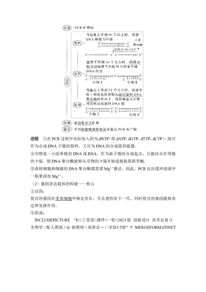 第35讲基因工程及生物技术的安全性与伦理问题_新高考复习资料_2024年新高考复习资料_一轮复习资料_完2024生物步步高大一轮复习（课件+讲义）_另附1套Word版题库_选择性必修3
