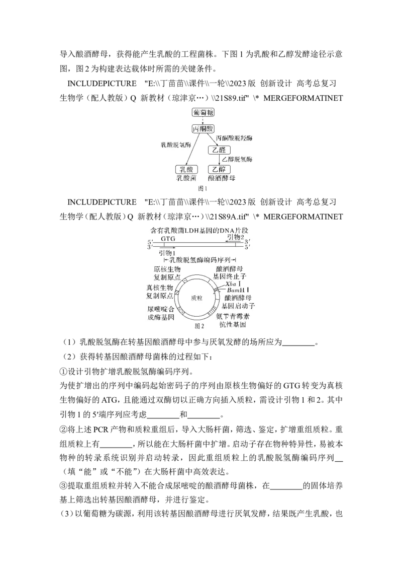 第35讲基因工程及生物技术的安全性与伦理问题_新高考复习资料_2024年新高考复习资料_一轮复习资料_完2024生物步步高大一轮复习（课件+讲义）_另附1套Word版题库_选择性必修3