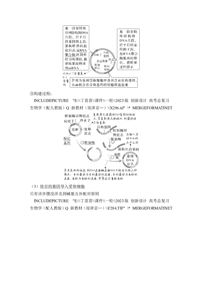 第35讲基因工程及生物技术的安全性与伦理问题_新高考复习资料_2024年新高考复习资料_一轮复习资料_完2024生物步步高大一轮复习（课件+讲义）_另附1套Word版题库_选择性必修3