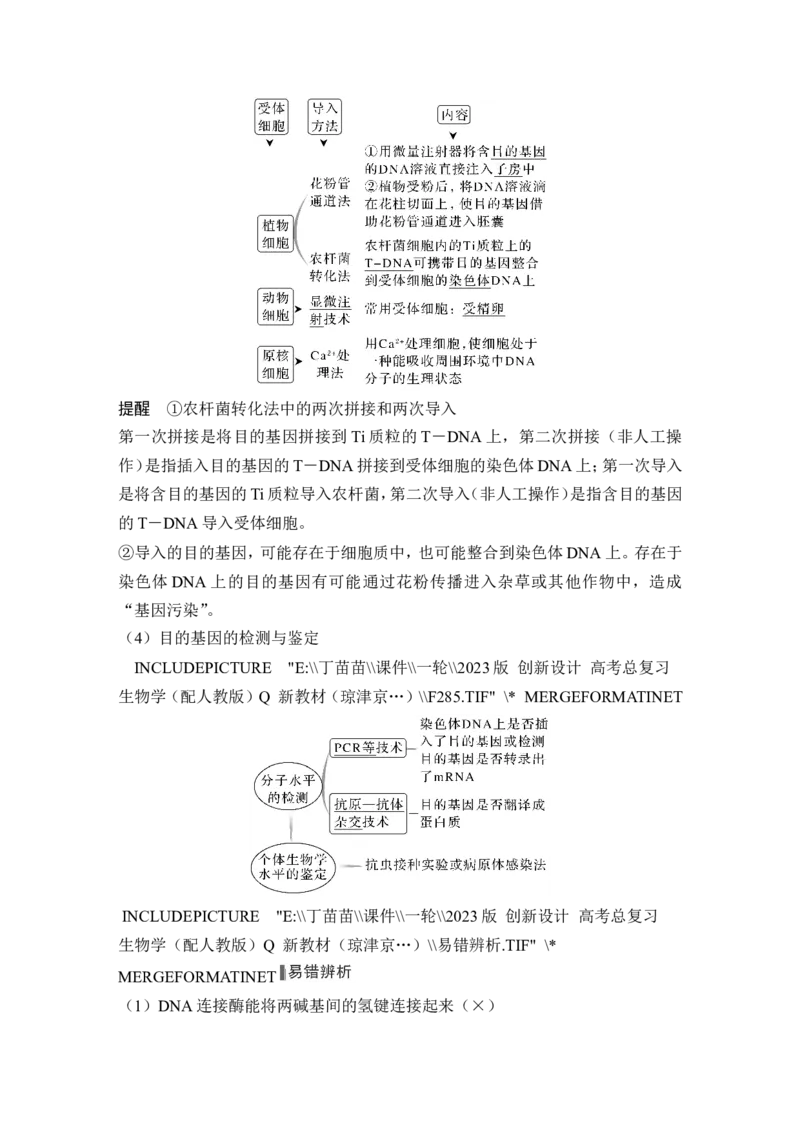 第35讲基因工程及生物技术的安全性与伦理问题_新高考复习资料_2024年新高考复习资料_一轮复习资料_完2024生物步步高大一轮复习（课件+讲义）_另附1套Word版题库_选择性必修3