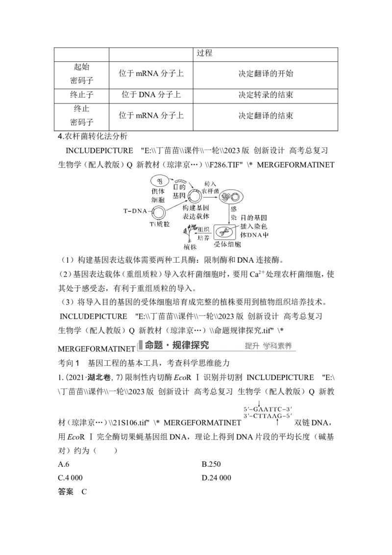 第35讲基因工程及生物技术的安全性与伦理问题_新高考复习资料_2024年新高考复习资料_一轮复习资料_完2024生物步步高大一轮复习（课件+讲义）_另附1套Word版题库_选择性必修3