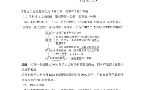 第35讲基因工程及生物技术的安全性与伦理问题_新高考复习资料_2024年新高考复习资料_一轮复习资料_完2024生物步步高大一轮复习（课件+讲义）_另附1套Word版题库_选择性必修3