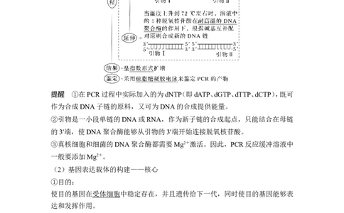 第35讲基因工程及生物技术的安全性与伦理问题_新高考复习资料_2024年新高考复习资料_一轮复习资料_完2024生物步步高大一轮复习（课件+讲义）_另附1套Word版题库_选择性必修3