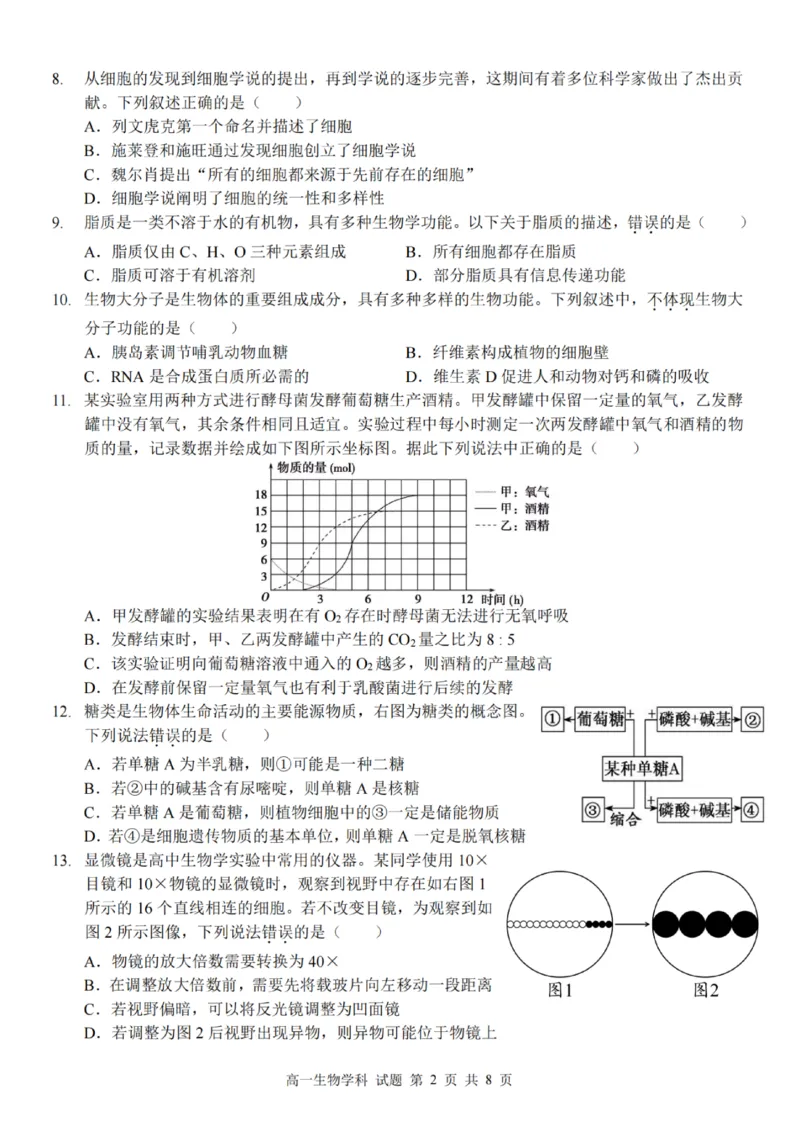 生物试卷_2025年12月高一试卷_251207浙江省金砖高中联盟2025-2026学年高一上学期11月期中考试（全）_浙江省金砖高中联盟2025-2026学年高一上学期11月期中考试生物试题含答案