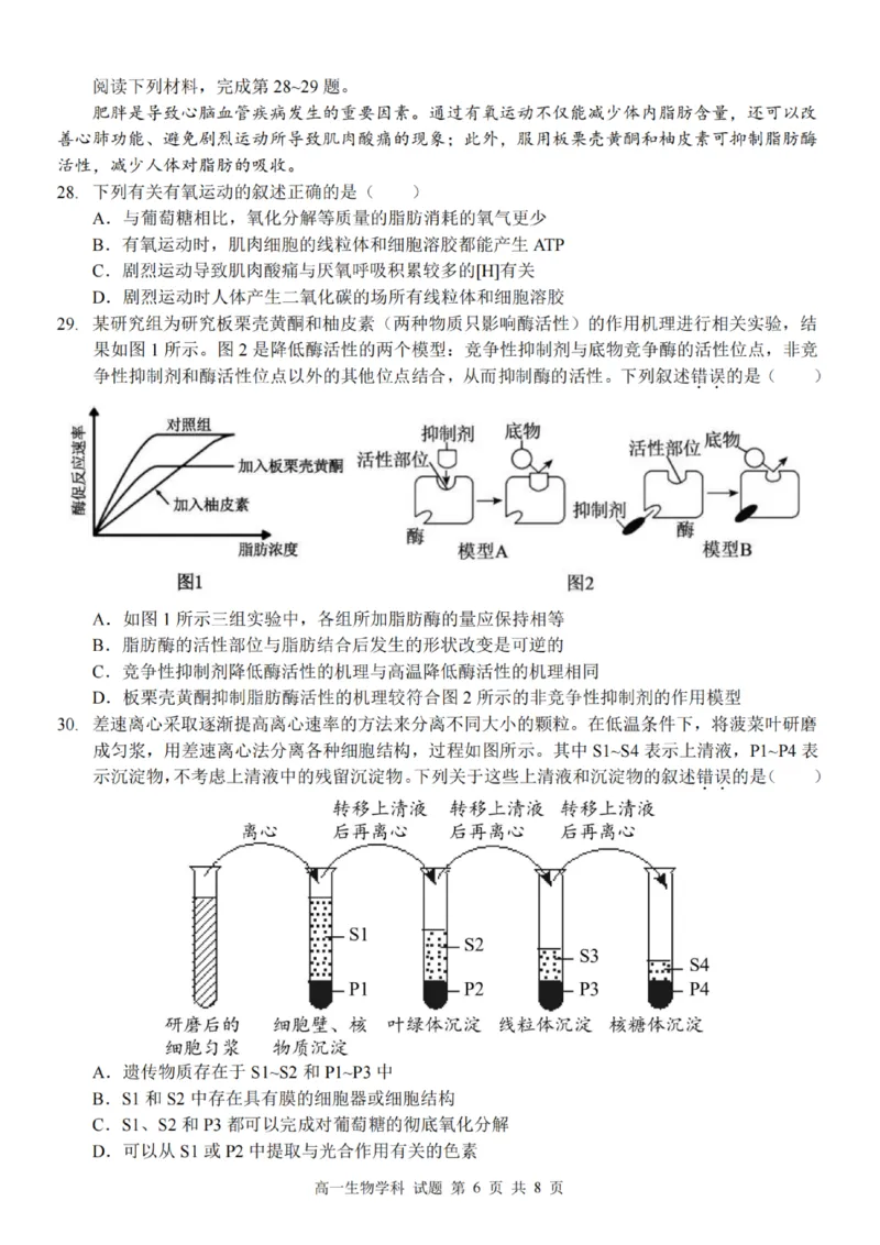 生物试卷_2025年12月高一试卷_251207浙江省金砖高中联盟2025-2026学年高一上学期11月期中考试（全）_浙江省金砖高中联盟2025-2026学年高一上学期11月期中考试生物试题含答案