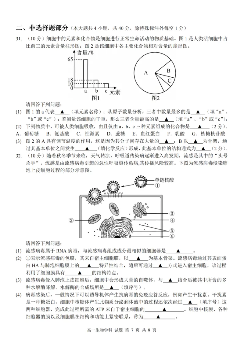 生物试卷_2025年12月高一试卷_251207浙江省金砖高中联盟2025-2026学年高一上学期11月期中考试（全）_浙江省金砖高中联盟2025-2026学年高一上学期11月期中考试生物试题含答案