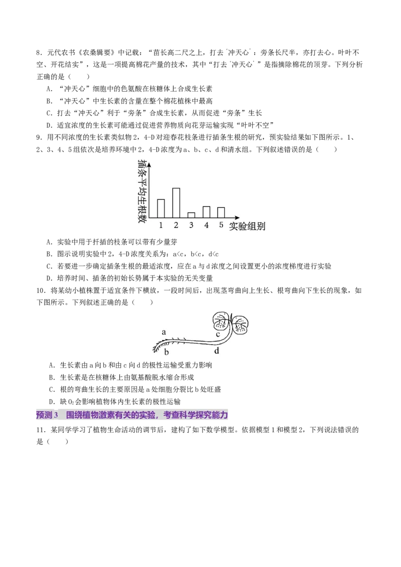 第13讲+植物生命活动的调节（讲义）（原卷版）_2025年新高考资料_二轮复习_01高考语文等多个文件_上好课2025年高考生物二轮复习讲练测（新高考通用）