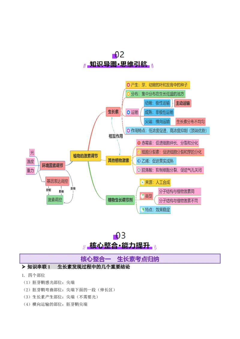 第13讲+植物生命活动的调节（讲义）（原卷版）_2025年新高考资料_二轮复习_01高考语文等多个文件_上好课2025年高考生物二轮复习讲练测（新高考通用）