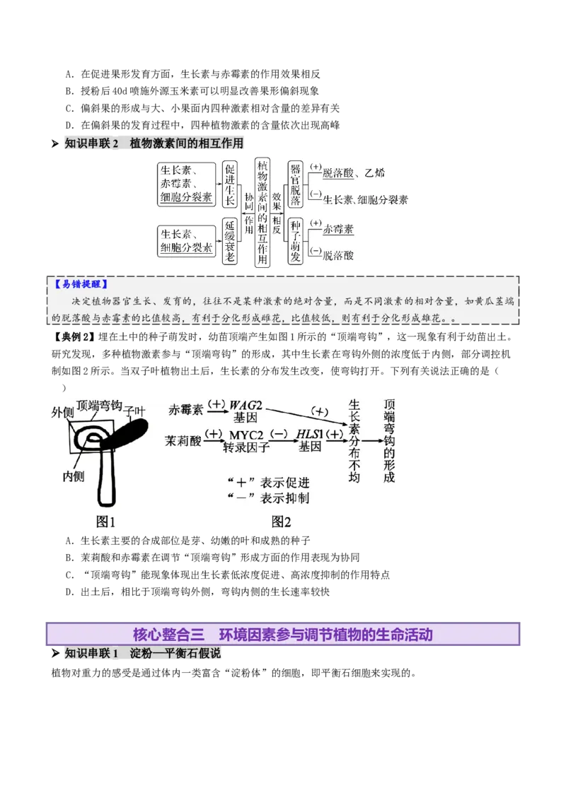 第13讲+植物生命活动的调节（讲义）（原卷版）_2025年新高考资料_二轮复习_01高考语文等多个文件_上好课2025年高考生物二轮复习讲练测（新高考通用）
