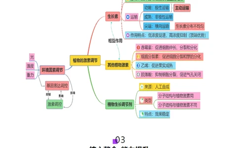 第13讲+植物生命活动的调节（讲义）（原卷版）_2025年新高考资料_二轮复习_01高考语文等多个文件_上好课2025年高考生物二轮复习讲练测（新高考通用）