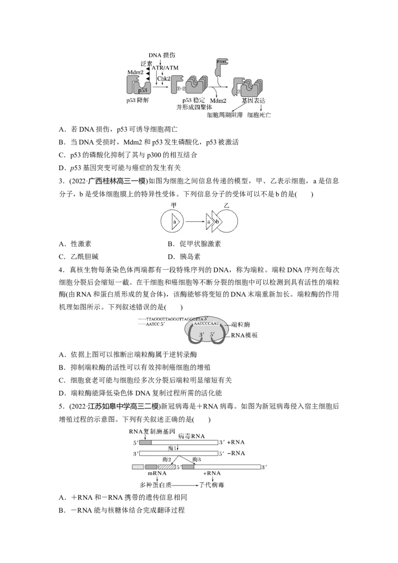 考前特训　专项一(四)图示图解类_通用版（老高考）复习资料_2023年复习资料_二轮复习_2023年高考生物二轮复习讲义+课件（全国版）_2023年高考生物二轮复习讲义（全国版）_学生版