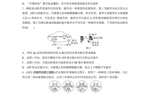 考前特训　专项一(四)图示图解类_通用版（老高考）复习资料_2023年复习资料_二轮复习_2023年高考生物二轮复习讲义+课件（全国版）_2023年高考生物二轮复习讲义（全国版）_学生版