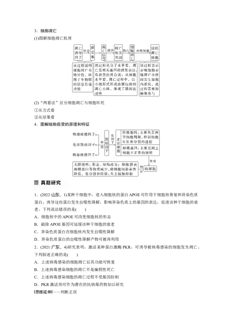 第一篇专题三考点三　细胞的分化、衰老、凋亡和癌变_通用版（老高考）复习资料_2023年复习资料_二轮复习_2023年高考生物二轮复习讲义+课件（全国版）_学生版_大二轮专题复习讲义