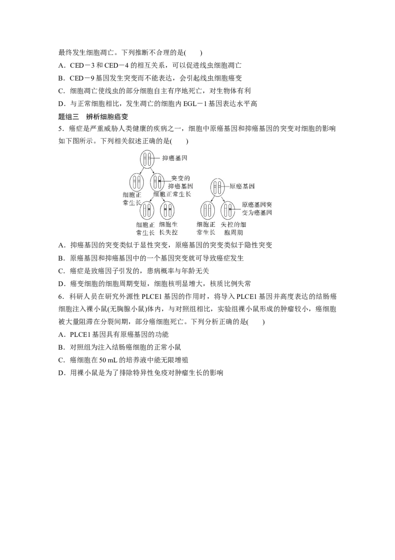 第一篇专题三考点三　细胞的分化、衰老、凋亡和癌变_通用版（老高考）复习资料_2023年复习资料_二轮复习_2023年高考生物二轮复习讲义+课件（全国版）_学生版_大二轮专题复习讲义