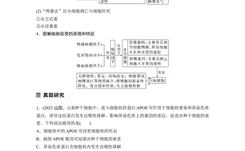 第一篇专题三考点三　细胞的分化、衰老、凋亡和癌变_通用版（老高考）复习资料_2023年复习资料_二轮复习_2023年高考生物二轮复习讲义+课件（全国版）_学生版_大二轮专题复习讲义
