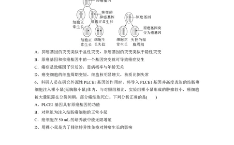 第一篇专题三考点三　细胞的分化、衰老、凋亡和癌变_通用版（老高考）复习资料_2023年复习资料_二轮复习_2023年高考生物二轮复习讲义+课件（全国版）_学生版_大二轮专题复习讲义