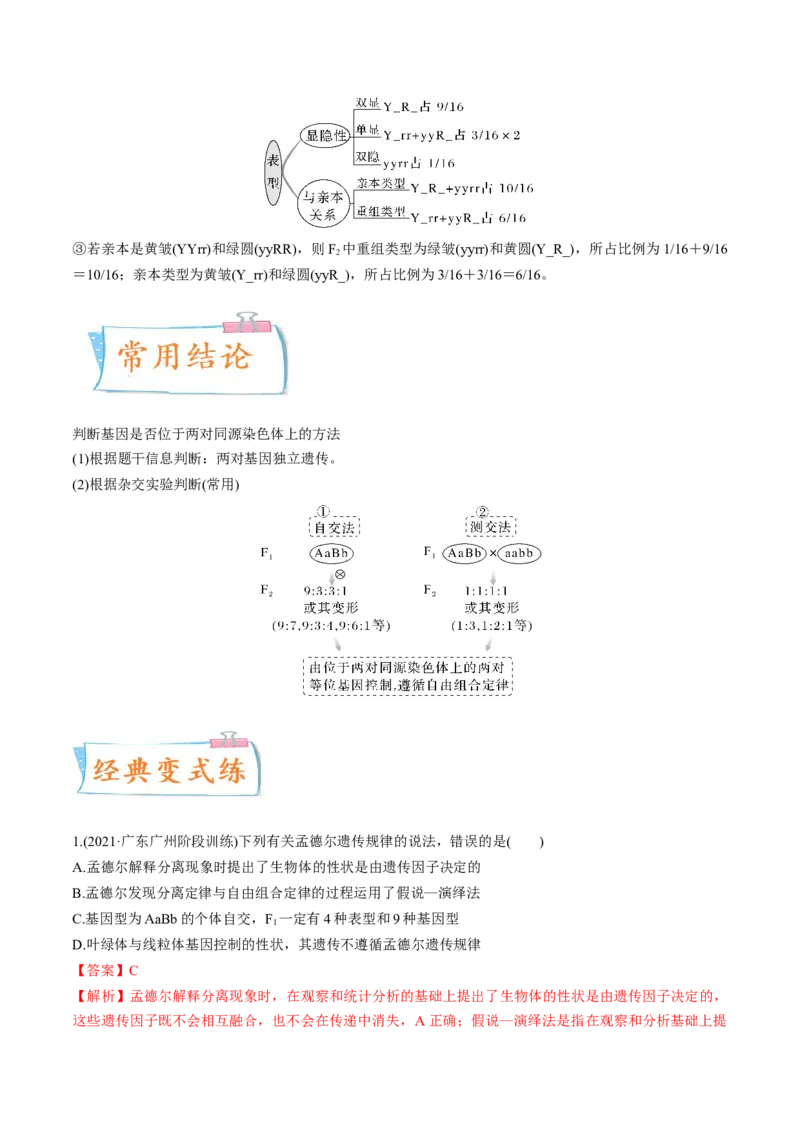 考向10基因的自由组合定律-备战2023年高考生物一轮复习考点微专题（全国通用）（解析版）(1)_通用版（老高考）复习资料_2023年复习资料_一轮复习