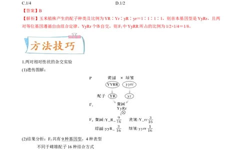 考向10基因的自由组合定律-备战2023年高考生物一轮复习考点微专题（全国通用）（解析版）(1)_通用版（老高考）复习资料_2023年复习资料_一轮复习
