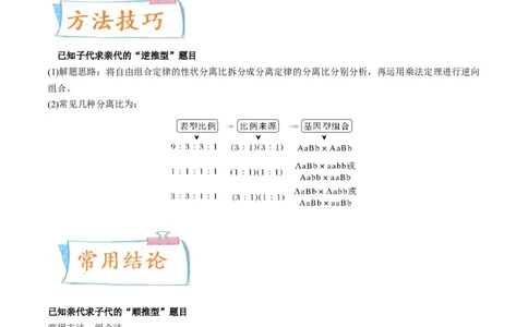 考向10基因的自由组合定律-备战2023年高考生物一轮复习考点微专题（全国通用）（解析版）(1)_通用版（老高考）复习资料_2023年复习资料_一轮复习