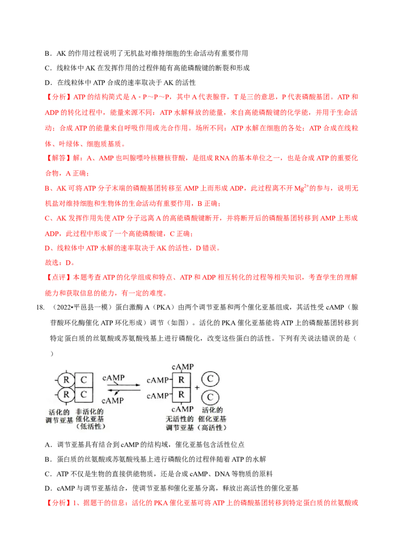 第3讲酶和ATP（检测）（解析版）_新高考复习资料_2023年新高考复习资料_二轮复习_2023年高考生物二轮复习讲练测（新教材专用）
