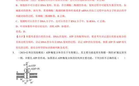 第3讲酶和ATP（检测）（解析版）_新高考复习资料_2023年新高考复习资料_二轮复习_2023年高考生物二轮复习讲练测（新教材专用）