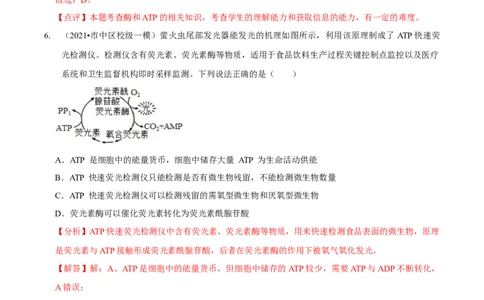 第3讲酶和ATP（检测）（解析版）_新高考复习资料_2023年新高考复习资料_二轮复习_2023年高考生物二轮复习讲练测（新教材专用）