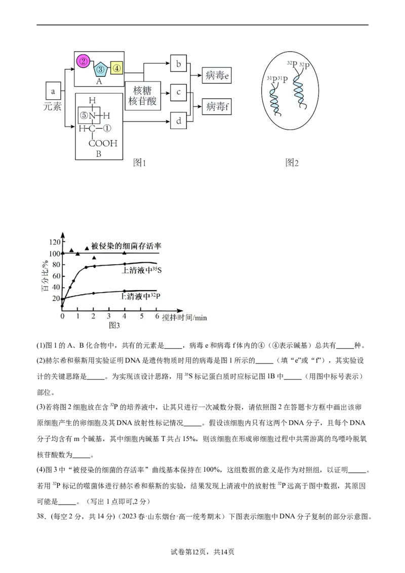 第六单元遗传的物质基础（测试）（原卷版）_新高考复习资料_2024年新高考复习资料_一轮复习资料_完2024年高考生物一轮复习讲练测(课件+讲义+练习)（新高考）_单元测试