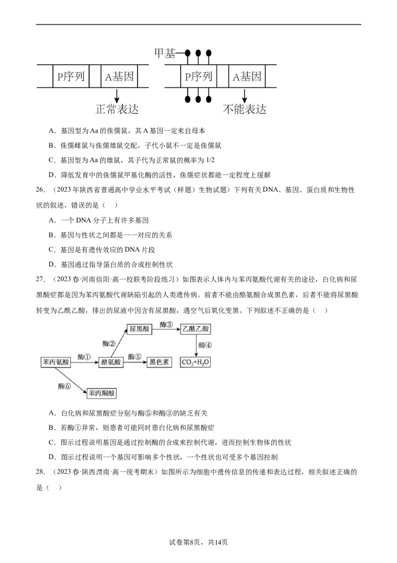 第六单元遗传的物质基础（测试）（原卷版）_新高考复习资料_2024年新高考复习资料_一轮复习资料_完2024年高考生物一轮复习讲练测(课件+讲义+练习)（新高考）_单元测试