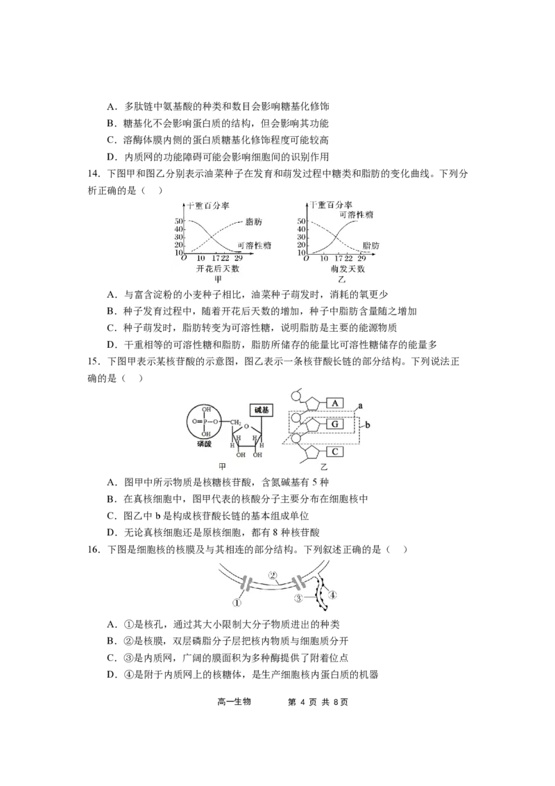 福建省福宁古五校教学联合体2024-2025学年高一上学期期中质量监测生物试题_2024年11月试卷_1117福建省福宁古五校教学联合体2024-2025学年高一上学期期中考试