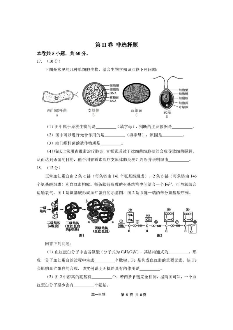 福建省福宁古五校教学联合体2024-2025学年高一上学期期中质量监测生物试题_2024年11月试卷_1117福建省福宁古五校教学联合体2024-2025学年高一上学期期中考试