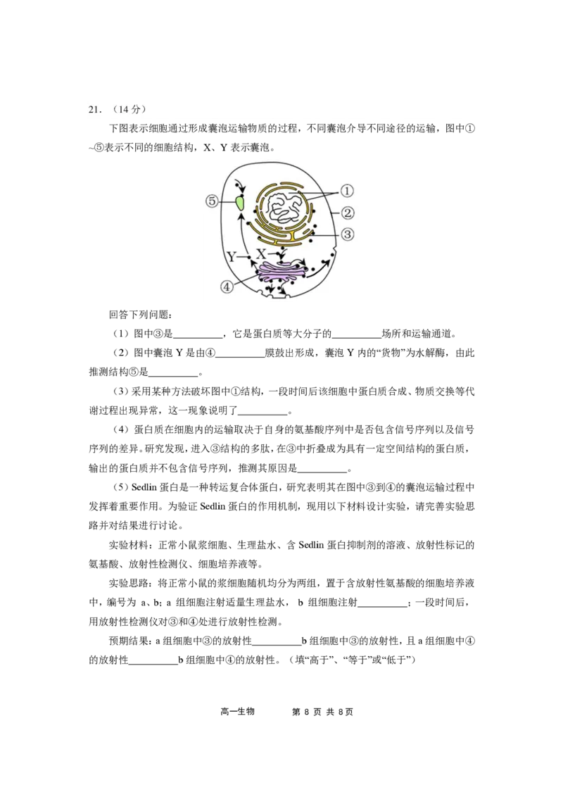福建省福宁古五校教学联合体2024-2025学年高一上学期期中质量监测生物试题_2024年11月试卷_1117福建省福宁古五校教学联合体2024-2025学年高一上学期期中考试