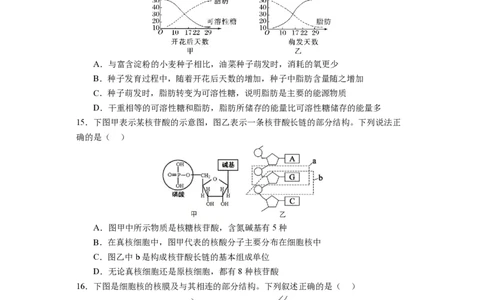 福建省福宁古五校教学联合体2024-2025学年高一上学期期中质量监测生物试题_2024年11月试卷_1117福建省福宁古五校教学联合体2024-2025学年高一上学期期中考试