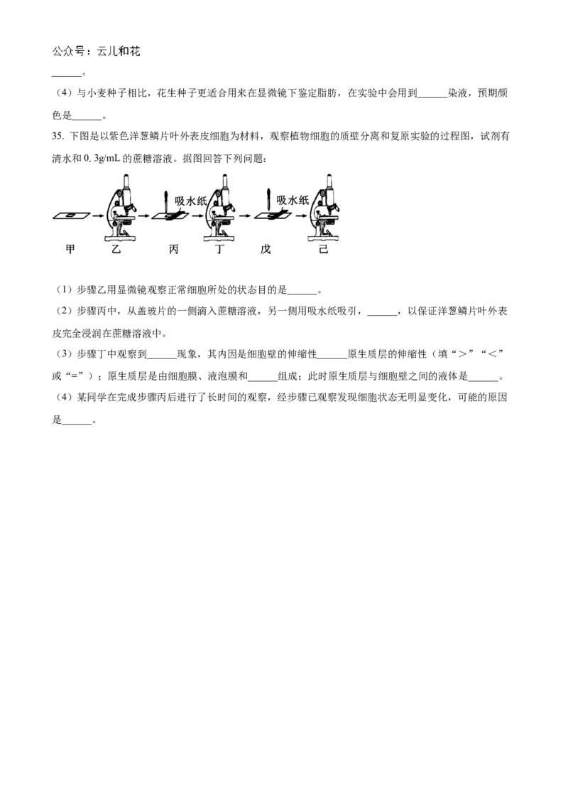 江苏省连云港市东海县2024-2025学年高一上学期期中考试生物试题Word版无答案_2024年12月试卷_1203江苏省连云港市东海县2024-2025学年高一上学期期中考试