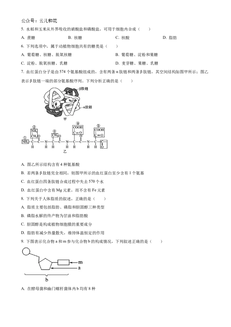 江苏省连云港市东海县2024-2025学年高一上学期期中考试生物试题Word版无答案_2024年12月试卷_1203江苏省连云港市东海县2024-2025学年高一上学期期中考试