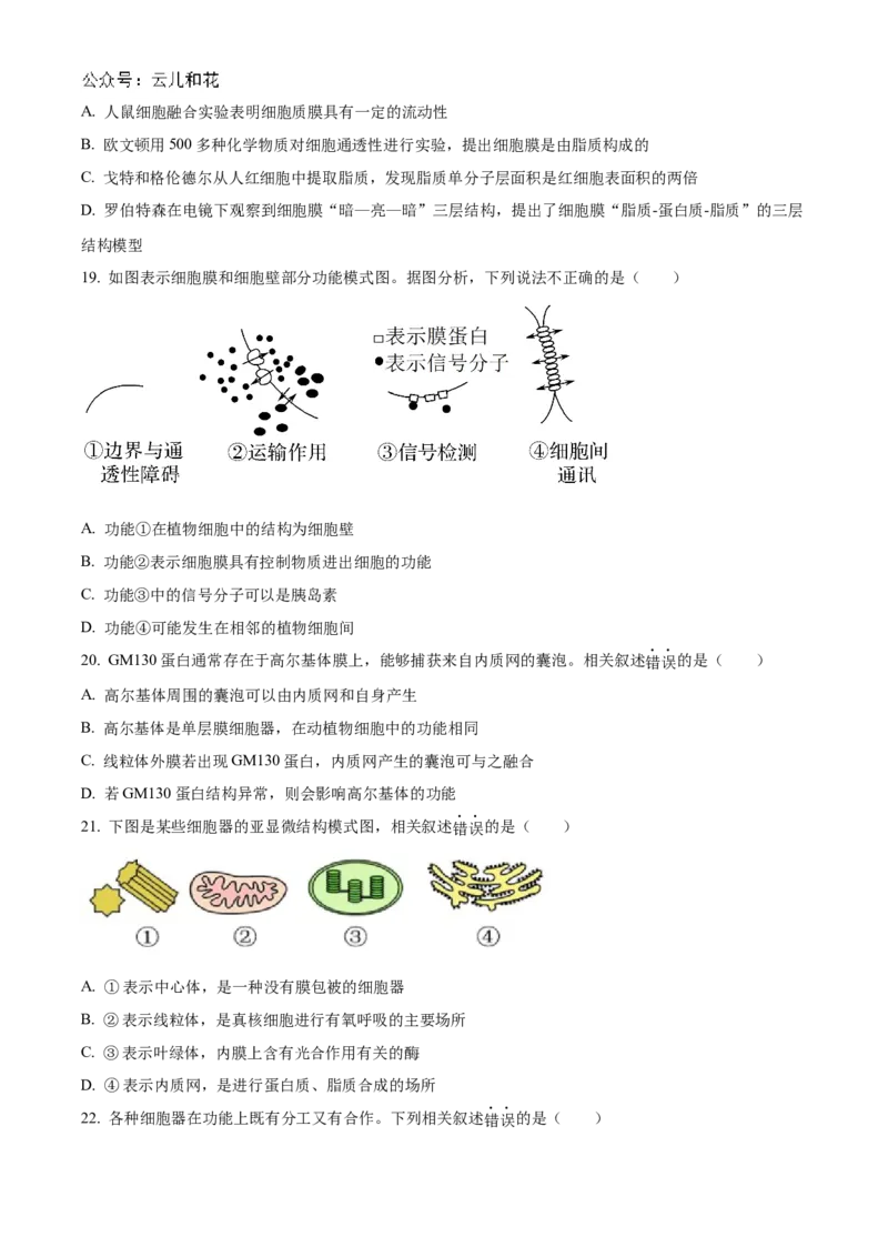 江苏省连云港市东海县2024-2025学年高一上学期期中考试生物试题Word版无答案_2024年12月试卷_1203江苏省连云港市东海县2024-2025学年高一上学期期中考试