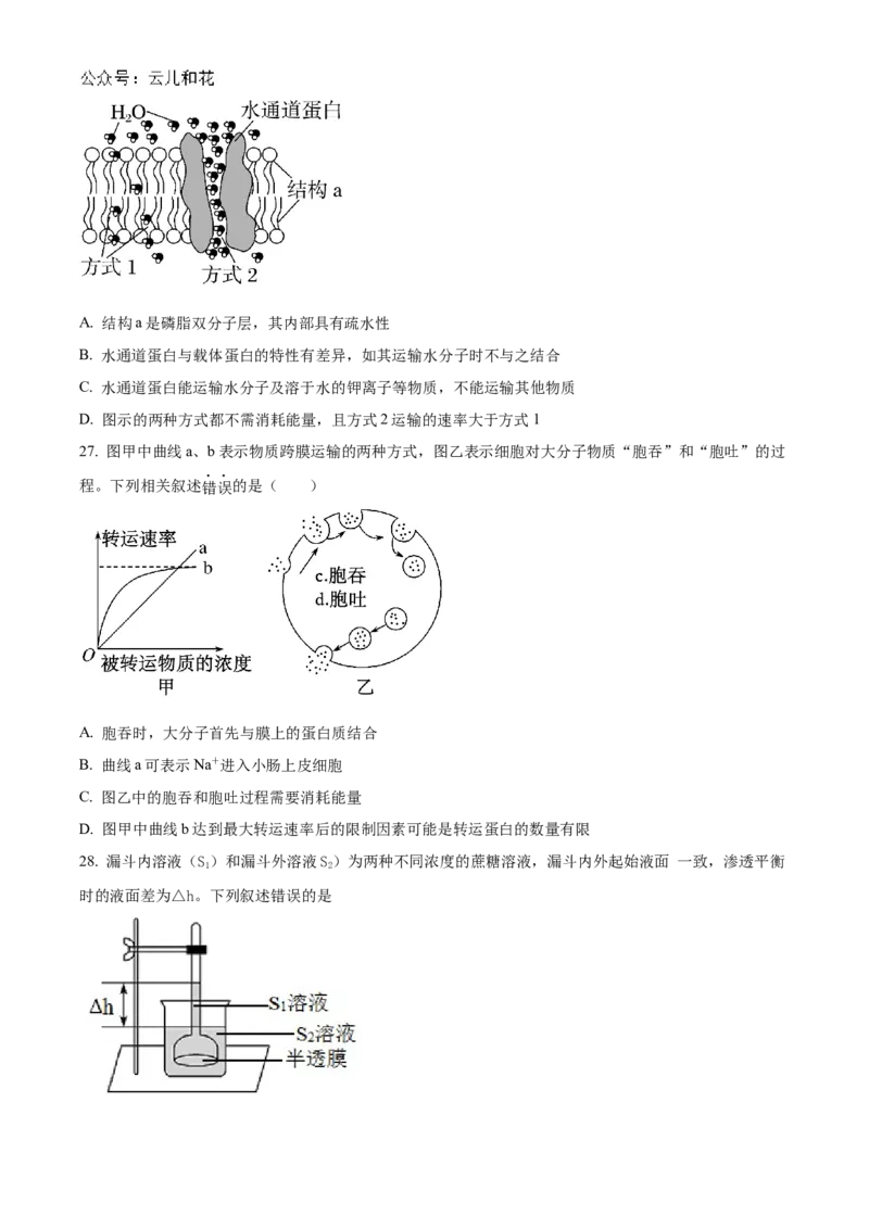江苏省连云港市东海县2024-2025学年高一上学期期中考试生物试题Word版无答案_2024年12月试卷_1203江苏省连云港市东海县2024-2025学年高一上学期期中考试