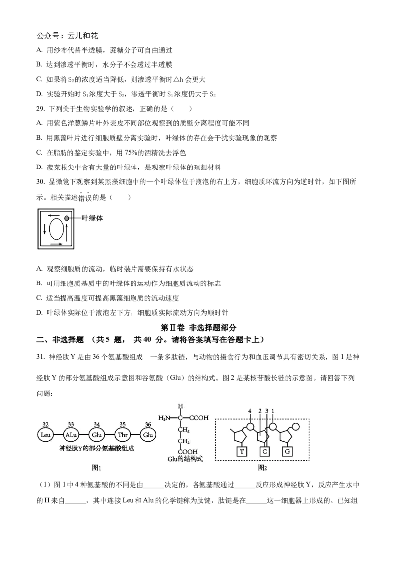 江苏省连云港市东海县2024-2025学年高一上学期期中考试生物试题Word版无答案_2024年12月试卷_1203江苏省连云港市东海县2024-2025学年高一上学期期中考试