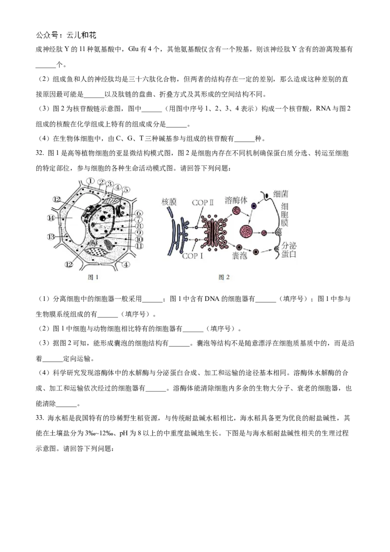 江苏省连云港市东海县2024-2025学年高一上学期期中考试生物试题Word版无答案_2024年12月试卷_1203江苏省连云港市东海县2024-2025学年高一上学期期中考试